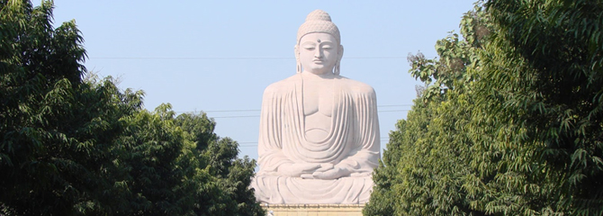 The Buddha's Trail